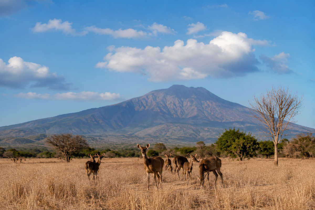 Open Trip Taman Nasional Baluran & Savana Bekol